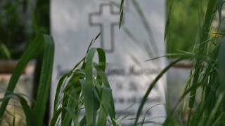 Se Presentan Avances en la Implementación del Nuevo Reglamento de Cementerios