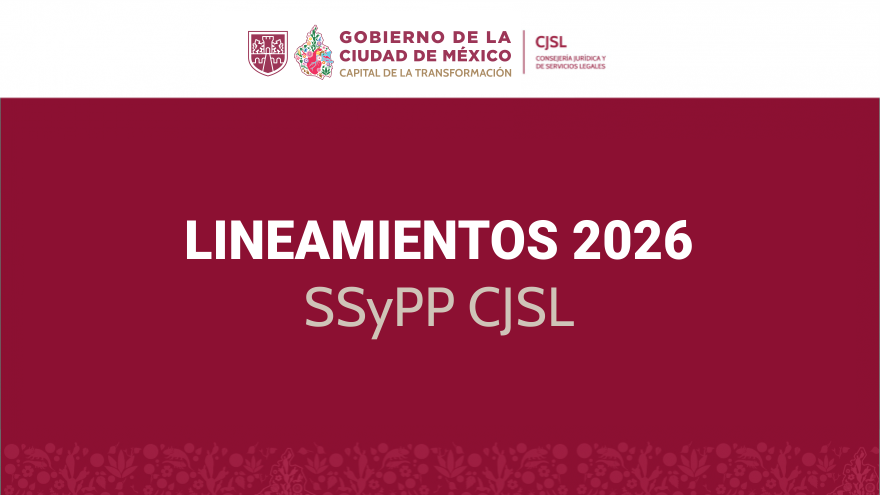 LINEAMIENTOS SS PP CJSL 2026
